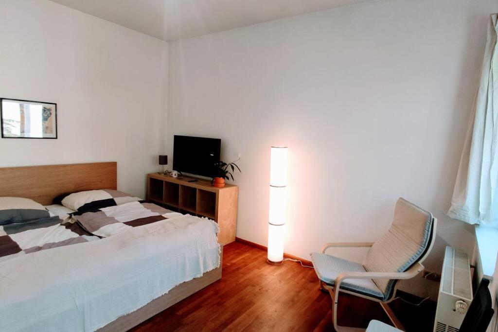 Modern Studio08 With Big Balcony In The Neustadt Dresde Extérieur photo
